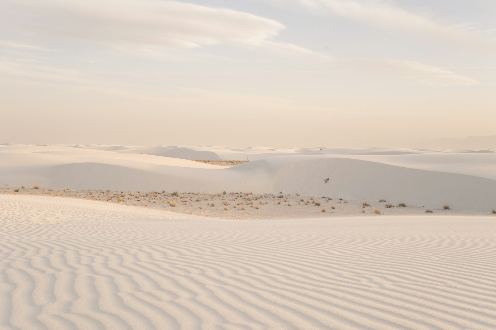 Pale rippled sand dunes under a soft sky at White Sands